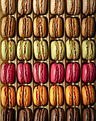 Rows of colourful macarons in a box