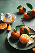 Citrus fruits with a juicer in front of a green background.