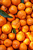 Close-Up of Mandarin Oranges