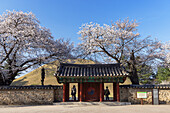 Königliches Grabmal von König Michu im Daereungwon-Grabkomplex, UNESCO-Welterbe, Gyeongju, Südkorea, Asien