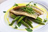 Vimba bream fillets (Vimba Vimba) on a bed of green asparagus, served at Zuvine fish restaurant, Didzioji street, Old Town, Vilnius, Lithuania, Europe