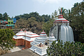 Ein Tempel wird in Puri, dem ältesten der vier heiligsten religiösen Zentren des Hinduismus in Indien, neu gestrichen, Puri, Bundesstaat Odisha, Indien, Asien