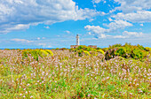 Lighthouse, Syracuse, Sicily, Italy, Mediterranean, Europe