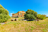 Temple of Hera (Temple E), Selinunte Archaeological Park, Selinunte, Trapani district, Sicily, Italy, Mediterranean, Europe