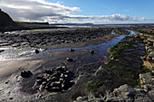 The intertidal zone of the Quantock Coast, containing an abundance of geology and wildlife, a Site of Special Scientific Interest (SSSI), West Somerset, England, United Kingdom, Europe