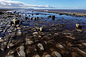 The intertidal zone of the Quantock Coast, containing an abundance of geology and wildlife, a Site of Special Scientific Interest (SSSI), West Somerset, England, United Kingdom, Europe