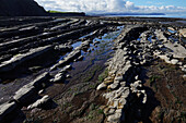 Die Gezeitenzone der Quantock Coast, die eine Fülle von Geologie und Wildtieren enthält, ein Gebiet von besonderem wissenschaftlichem Interesse (SSSI), West Somerset, England, Vereinigtes Königreich, Europa