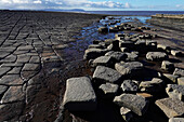 The intertidal zone of the Quantock Coast, containing an abundance of geology and wildlife, a Site of Special Scientific Interest (SSSI), West Somerset, England, United Kingdom, Europe