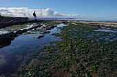 Die Gezeitenzone der Quantock Coast, die eine Fülle von Geologie und Wildtieren enthält, ein Gebiet von besonderem wissenschaftlichen Interesse (SSSI), West Somerset, England, Vereinigtes Königreich, Europa