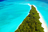 Aerial drone view of beautiful tropical island beach with palm trees, The Maldives, Indian Ocean, Asia