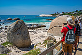 People viewing African penguins on Boulders Beach, Seaforth, Table Mountain National Park, Cape Town, Western Cape, South Africa, Africa