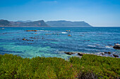 Blick auf Kanu und Boulders Beach von erhöhter Position, Seaforth, Tafelberg-Nationalpark, Kapstadt, Westkap, Südafrika, Afrika