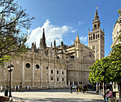 Blick auf die Giralda (Glockenturm) der römisch-katholischen Kathedrale der Heiligen Maria vom See (Kathedrale von Sevilla), UNESCO-Weltkulturerbe, Sevilla, Andalusien, Spanien, Europa