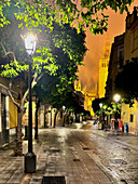 Blick auf die Giralda (Glockenturm) der römisch-katholischen Kathedrale Santa Maria vom See (Kathedrale von Sevilla) bei Nacht, UNESCO-Weltkulturerbe, Sevilla, Andalusien, Spanien, Europa