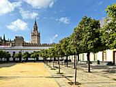 Blick auf die Giralda (Glockenturm) der römisch-katholischen Kathedrale von Sevilla, UNESCO-Weltkulturerbe, Sevilla, Andalusien, Spanien, Europa