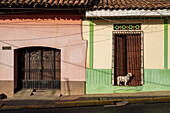 Street scene, Leon, Leon Department, Nicaragua, Central America