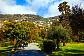 A park in Nervi, a former fishing village on the Riviera di Levante, now a seaside resort, Nervi, Liguria, Italy, Europe