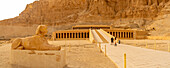 View of sphinx and Mortuary Temple of Hatshepsut, UNESCO World Heritage Site, Deir el-Bahari, Thebes, Egypt, North Africa, Africa