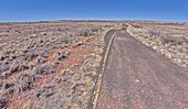 The paved path, that used to be an old road, leading to the Long Logs Trail and Agate House in Petrified Forest National Park, Arizona, United States of America, North America