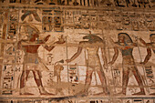 Reliefs, Südportikus, Erster Hof, Medinet Habu, Totentempel von Ramses III., 1187-56 v. Chr., Antikes Theben, UNESCO-Welterbe, Luxor, Ägypten, Nordafrika, Afrika