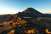 Mount Ngauruhoe während des Sonnenaufgangs und Sonnenaufgang auf dem Mount Tongariro, Tongariro National Park, UNESCO Welterbe, Nordinsel, Neuseeland, Pazifik