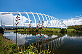 Einzigartige Architektur der Te Rewa Rewa-Brücke in New Plymouth, Nordinsel, Neuseeland, Pazifik