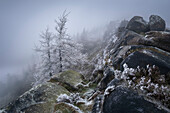 Reifbedeckte Bäume und gefrierender Nebel an der Felsformation The Roaches im Winter, The Roaches, bei Leek, Peak District National Park, Staffordshire Moorlands, Staffordshire, England, Vereinigtes Königreich, Europa