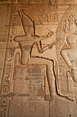 Reliefs, Hypostyle Hall, Ramesseum, Memorial Temple of Pharaoh Ramesses II, 13th century BC, Ancient Thebes, UNESCO World Heritage Site, Luxor, Egypt, North Africa, Africa