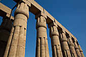 Papyrus Columns, Courtyard of Amenhotep III (Peristyle Court), Luxor Temple, UNESCO World Heritage Site, Luxor, Egypt, North Africa, Africa