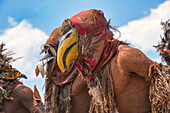 Vogelmasken, Die traditionelle Kulamba-Zeremonie des Chewa-Volkes aus Sambia, Mosambik und Malawi, die jährlich am letzten Samstag im August zu Ehren ihres Häuptlings Kalonga Gaia Uni in der Nähe von Katete, Ostprovinz, Sambia, Afrika, stattfindet