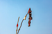 Maskierter Akrobat, Die traditionelle Kulamba-Zeremonie des Chewa-Volkes aus Sambia, Mosambik und Malawi, die jährlich am letzten Samstag im August zu Ehren ihres Häuptlings Kalonga Gaia Uni in der Nähe von Katete, Ostprovinz, Sambia, Afrika, stattfindet