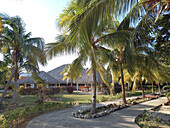 Palm trees and garden of resort, Cayo Santa Maria, Cuba, West Indies, Caribbean, Central America