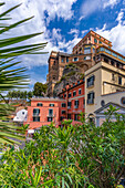 View of hotels in Porto of Sorrento, Sorrento, Campania, Italy, Mediterranean, Europe