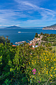 Panoramic view of Sorrento and Mount Vesuvius and Bay of Naples, Sorrento, Campania, Italy, Mediterranean, Europe