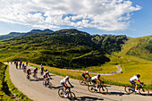 Radfahrer auf dem Grand Fondo La Marmotte, Col du Glandon, Savoyen, Auvergne Rhone-Alpes, Frankreich, Europa