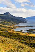 Wulaia Bay, Navarino island, Tierra del Fuego, Patagonia, Chile, South America