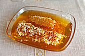 Honey tasting at Raznik Mouradyan's house, beekeeper at Vedi, a village in Ararat plain, Artashat, Armenia, Eurasia