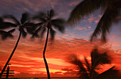 Palmen und Sonnenuntergang, Edgewater Resort, Rarotonga, Cookinseln, Südpazifik, Pazifik