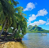 Mount Otemanu, Bora Bora, French Polynesia, South Pacific, Pacific