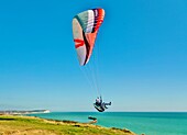 Gleitschirmflieger beim Start über dem Hafen von Newhaven, East Sussex. England, Vereinigtes Königreich, Europa