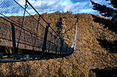 Hängebrücke Geierlay in einer Herbstlandschaft mit Bäumen, Rheinland-Pfalz, Deutschland, Europa