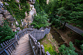 Holztreppe im Mullerthal Wanderweg im Wald, Echternach, Luxemburg, Europa