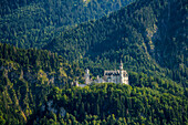 Neuschwanstein historic fairytale castle on the mountain with trees all around, Schwangau, Bavaria, Germany, Europe