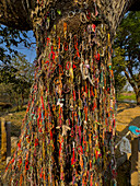 The killing tree, dedicated to those killed during the Khmer Rouge conflict at Choueng Ek, Phnom Pehn, Cambodia, Indochina, Southeast Asia, Asia