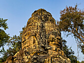 Ta Prohm Tempel, ein buddhistisches Mahayana-Kloster, erbaut im späten 12. Jahrhundert für den Khmer-König Jayavarman VII, Angkor, UNESCO-Welterbe, Kambodscha, Indochina, Südostasien, Asien