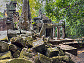 Ta Prohm Temple, a Mahayana Buddhist monastery built in the late 12th century for Khmer king Jayavarman VII, Angkor, UNESCO World Heritage Site, Cambodia, Indochina, Southeast Asia, Asia