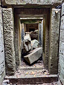 Ta Prohm Temple, a Mahayana Buddhist monastery built in the late 12th century for Khmer king Jayavarman VII, Angkor, UNESCO World Heritage Site, Cambodia, Indochina, Southeast Asia, Asia