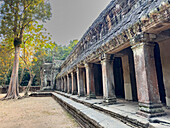 Ta-Prohm-Tempel, ein buddhistisches Mahayana-Kloster, das im späten 12. Jahrhundert für den Khmer-König Jayavarman VII. erbaut wurde, Angkor, UNESCO-Welterbe, Kambodscha, Indochina, Südostasien, Asien