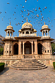 Gatore Ki Chhatriyan, Jaipur, Rajasthan, Indien, Südasien, Asien