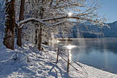 Alpsee, Schwangau, Füssen, Schwaben, Bayerische Alpen, Bayern, Deutschland, Europa